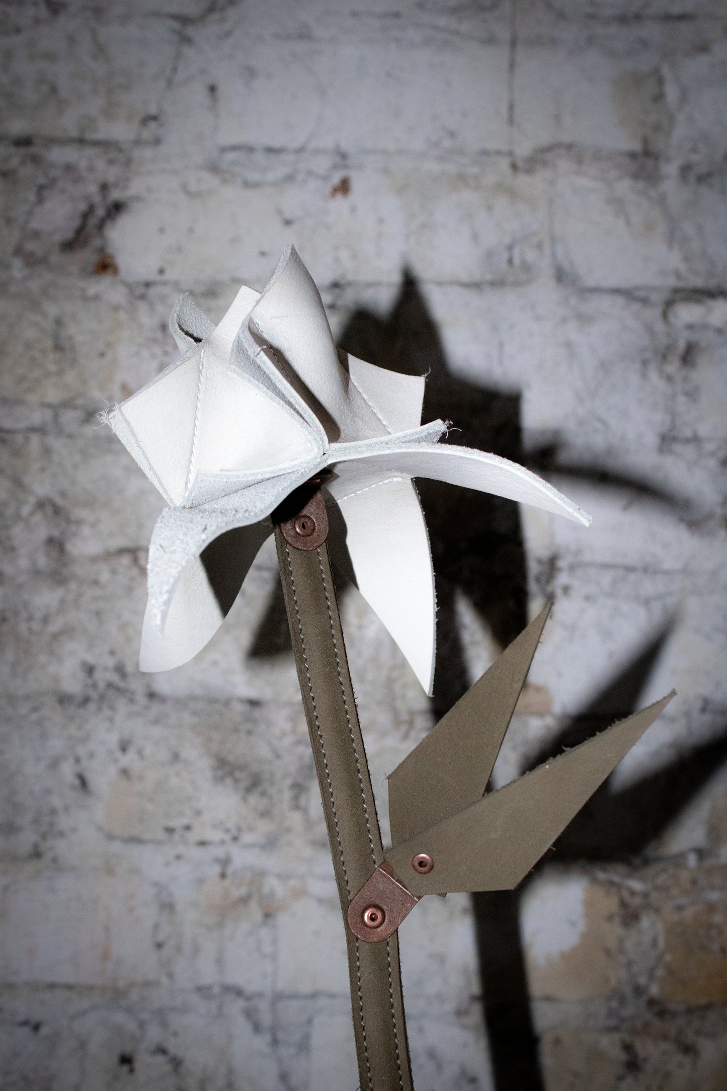 white leather rose